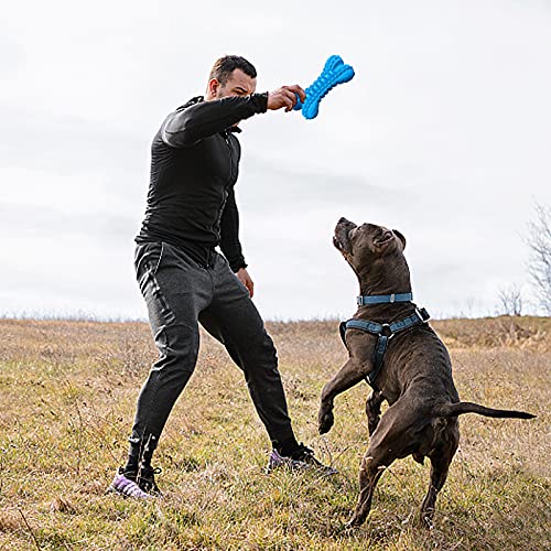 LEGEND SANDY Dog Toys for Aggressive Chewers Large Breed, Durable Dog Bones Squeaky Chew Toy, Nearly Indestructible Dog Toys for Large, Tough Natural Rubber Puppy Chew for Medium Teeth Cleaning - color: Bone-Blue