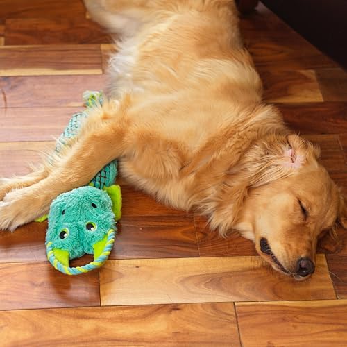 Outward Hound Ropiez Rope Interactive Dog Tug Toy for Tugging Squeaky Fun, 21 Inch Dragon, Blue, Medium - color: Ropiez Dragon