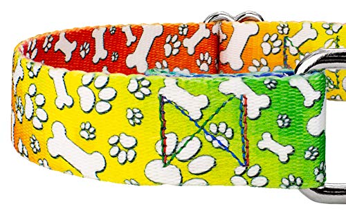 Country Brook Petz - Trippy Doggo Martingale Dog Collar - Groovy Collection Featuring Far Out Designs (1/2 Inch, 2XS) - color: Trippy Doggo, size: 2XS (Pack of 1)