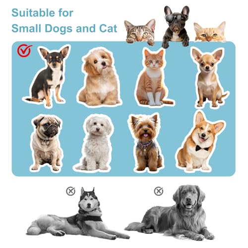 Movable Structure Pet Stairs Ramp with seat Mate Cats/Dogs Chair with ramp high beds, Folding Pet Steps for Large, Medium and Small Dogs, Cat Ladder, with Storage Cabinet