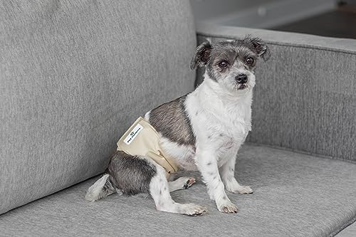 Pet Parents® Washable Belly Bands for Male Dogs (3pack) + Extendrs® of Durable Dog Diapers Male, Premium Male Dog Diapers & Dog Wraps (Small, Spruce) - color: Spruce, size: Small (13-16")