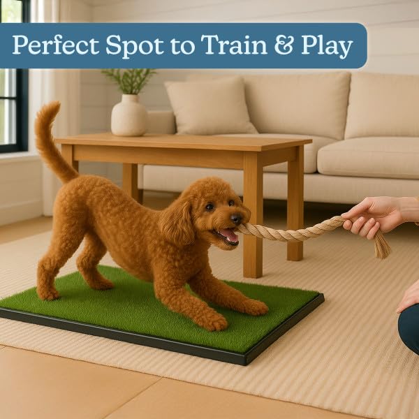 Artificial Grass Puppy Pad with Tray 16x20 inch | Reusable Indoor & Outdoor Dog Potty Training Mat System | Washable Fake Grass Pet Housebreaking Pad for Puppies & Small to Medium Dogs by PETMAKER - size: Small 3-Layer System