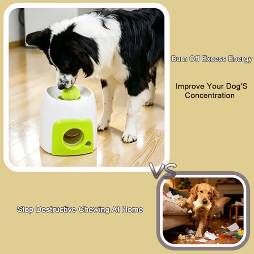 Dog Tennis Ball Treat Toy, Interactive Food Reward Ball for Dogs | Motor-Free Self-Play Chew Toy for Boredom Relief, Teething & Mental Enrichment