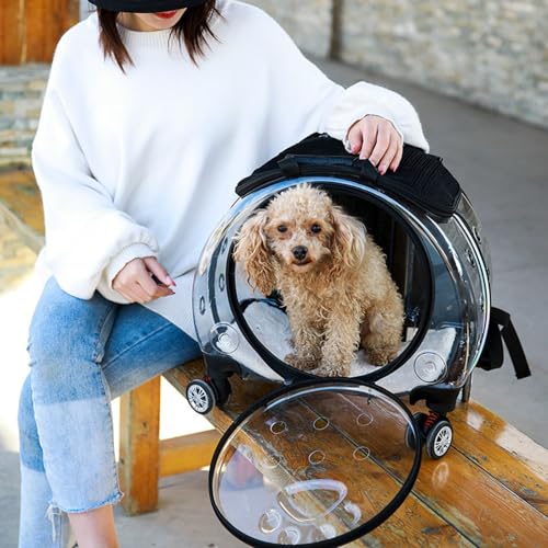 Pet Trolley Case with Clear Ventilation Holes & Silent Wheels – 2-in-1 Rolling Pet Backpack Carrier for Cats Dogs, Portable Travel Suitcase, Airline Approved, Lightweight Black - color: Black