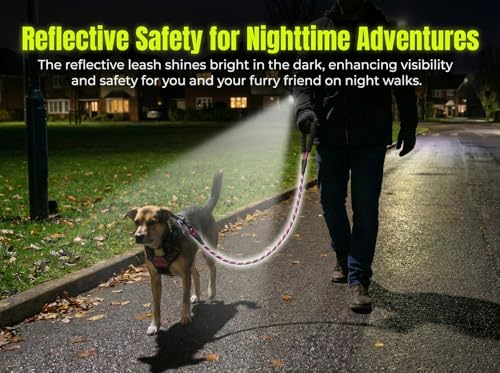 Dog Leash for Medium, Large and Small Dog,Heavy Duty, Durable Rope, Lightweight Design for Walking, Training, and Outdoor Activities, Purple,6Ft,1/2 inch - color: Purple
