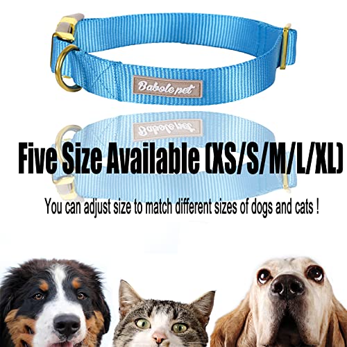 Nylon Dog Collar - Adjustable Blue Soft Webbing Dog Collars for Small Medium Large Dogs Boy Girl Puppy Collar with Safety Metal Buckle XS - color: Nylon-Blue, size: XS
