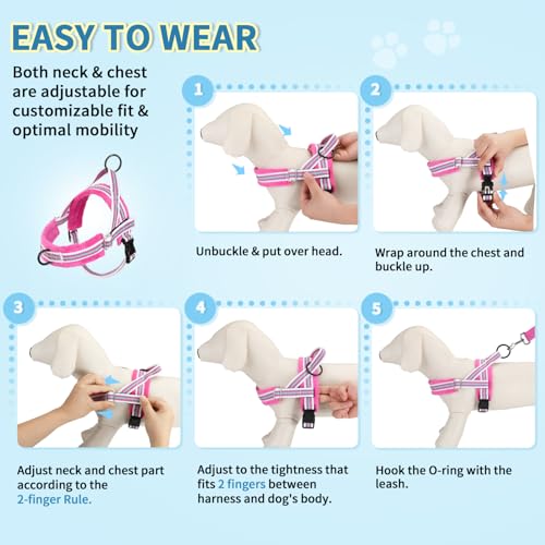 Lukovee No Pull Dog Harness and Leash Set, Soft Padded Small Dog Harness, Neck & Chest Adjustable Reflective Vest Puppy Harness with 4ft Lightweight Anti-Twist Dog Leash for Small Dogs (XXS, Fuschia) - color: Fuchsia - with Stripe, size: XXS ( Chest 11.5'