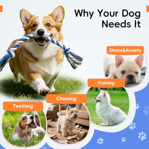 wodoca Dog Rope Toys 4 Pack, Puppy Teething Cotton Knot Chew Rope for Small Medium Dogs, Interactive Tug of War Dog Toys for Boredom, Teeth Cleaning - color: Blue