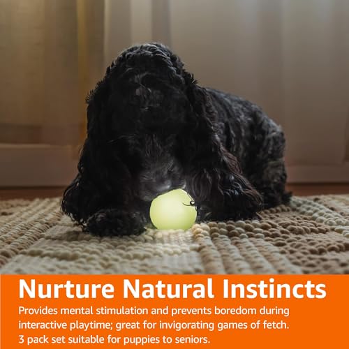 Amazon Basics Interactive Bouncy Durable Rubber Dog Toy Balls, Glow, 2.5 inch, Beige, Pack of 3 - size: 2.5 inch, style: Glow Balls (Pack of 3)
