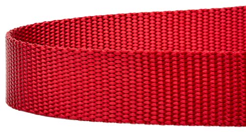 Country Brook Petz - Vibrant 17 Color Selection - Heavyduty Doublehandle Nylon Leash (6 Foot, 3/4 Inch Wide, Red) - color: Red