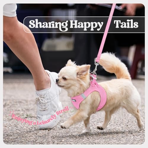 rabbitgoo Dog Harness Small Sized and Leash Set, Step in Soft Light Puppy Vest, Breathable Mesh Pet Harness, Reflective for Safe Easy Walking, Light Pink XXXS - color: Light Pink, size: Xxxs (chest: 10.8 - 11.8")