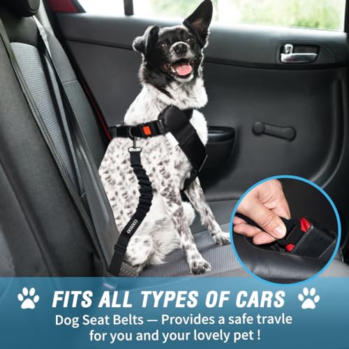 COOYOO Dog Seat Belt, Durability Retractable Dog Car Harness Adjustable Dog Seat Belt for Vehicle Nylon Pet Safety Seat Belts Heavy Duty & Elastic - color: Set 01 Pack B-Blue
