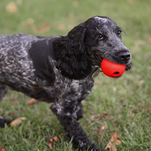 Chew King Flavored Rubber Ball Collection, 2.5 Inch Beef Flavor Rubber Balls 3-Pk - color: H) 2.5" 3-Pack (Beef)