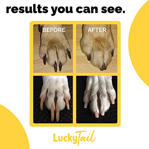 LUCKY TAIL - Dog Nail Grinder - Regular, Hard & Soft Replacement Head - Small & Large Dogs - Premium Quality - Diamond Tip Drill Bit - Professional Dog Nail Trimmers - Grooming Kit - 3 Pack - size: Three Pack