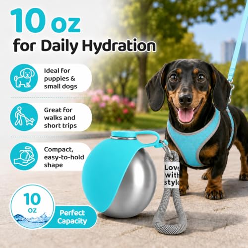Portable Dog Water Bottle, 10 oz Stainless Steel Pet Travel Dispenser with Silicone Foldable Bowl, Leak Proof Tumbler, Dog Walking Accessories for Hiking and Small Pets (Blue) - color: Blue