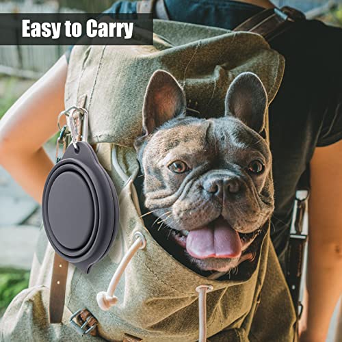SLSON Collapsible Dog Bowls,Integrated Molding Dog Double Bowl No Plastic Rim 2 in 1 Foldable Pet Food & Water Bowl Cat Feeder Dish for Walking,Hiking,Camping (Dark Grey) - color: Dark Grey