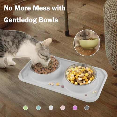 Cat Bowls for Food and Water, Premium Removable Stainless Steel Double Bowls with Non-Slip Bottom & Elevated Stand for Pet and Small Dogs,Upgrade Non-Spill Cat Food Feeder (Light Grey) - color: Light Grey-New
