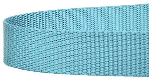 Country Brook Petz - Vibrant 17 Color Selection - Heavyduty Doublehandle Nylon Leash (6 Foot, 3/4 Inch Wide, Ocean Blue) - color: Ocean Blue