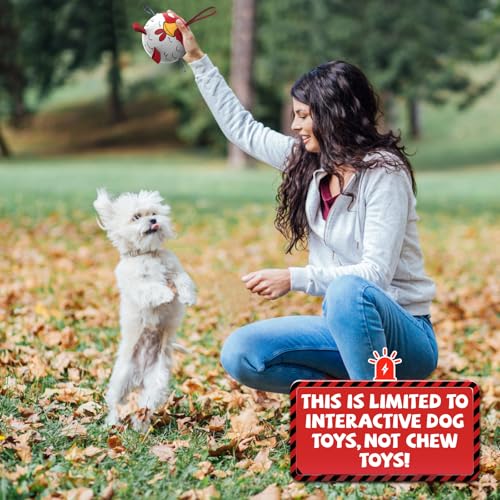 QDAN Dog Toy Balls: Pet Training Soccer Ball Dog Toy with Straps- Puppy Extra Small Dog Balls Beach Pool, Dogs Herding Ball, (5 Inch) - color: Red, size: 5 Inch