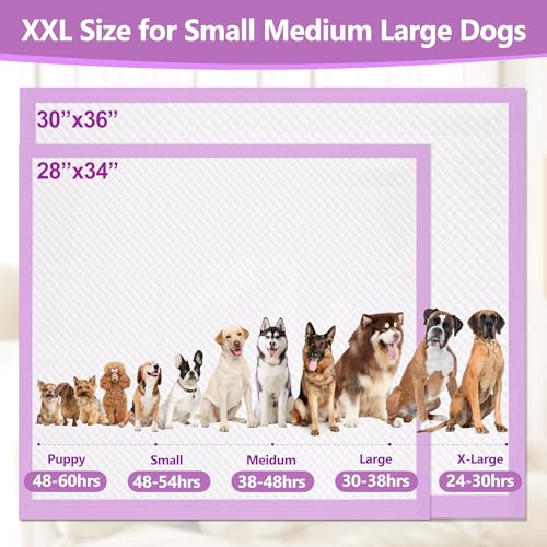 Gimars XL 6-Layer Ultra Absorbent 1200ml 48-Hour Leak-Proof Dog Pee Pads, Quick Dry Extra Large Puppy Pads for Puppy Training, Senior & Incontinent Dogs, Cats, Overnight Use, 30"x36", 30 Count - size: 30"x36" - Purple 30 Counts