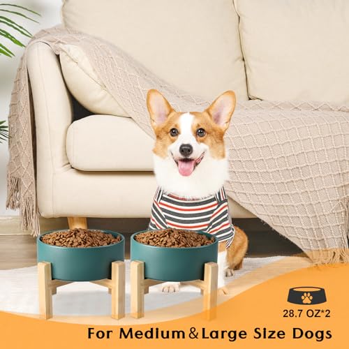 SPUNKYJUNKY Ceramic Elevated Dog Bowls 2 Pack - 6.1inch Raised Dog Bowls with Non-Slip Wooden Stand for Medium Dogs Dishwasher Safe(Green,28.7OZ*2) - color: Green, size: Medium - 3.6 CUPS*2