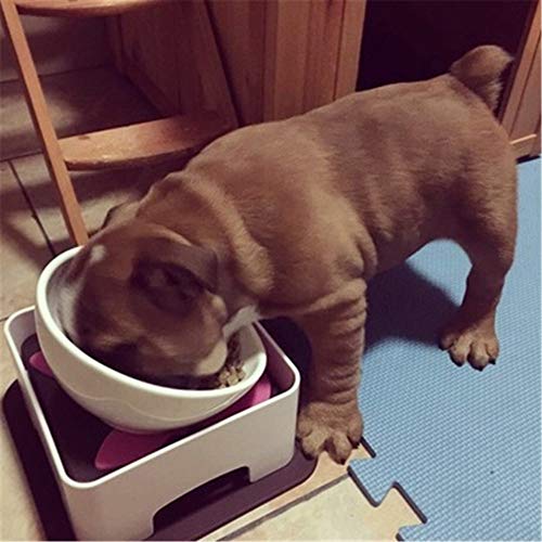 Ceramic Bulldog Bowl Dog Feeding Bowl - Dog Dish Wide Mouth Pet Sterile Tilted Pet Feeder with Anti-Skid Rubber Mat for Small Medium Dogs (White) - color: White