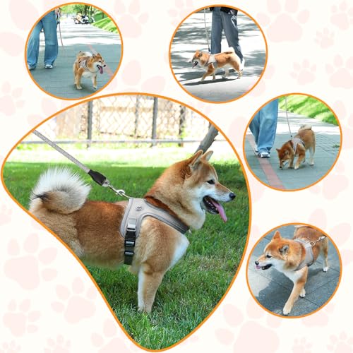 Dog Harness and Leash Set, No Pull Saddle Style Pet Harness, Breathable Mesh Adjustable Reflective Dog Vest for Medium Small Dogs Harness 2 D-Rings, Grey, L - color: Grey, size: L