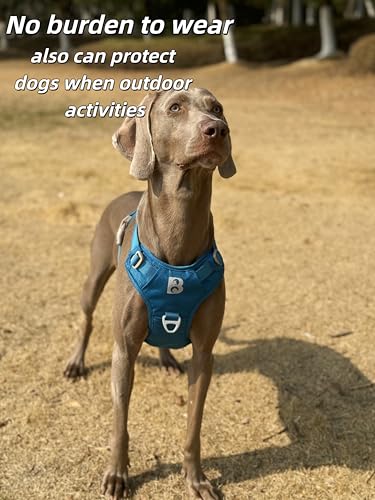 No Pull Dog Harness Front Clip Heavy Duty Reflective Easy Control Handle for Large Dog (Blue, L) - color: Blue, size: L