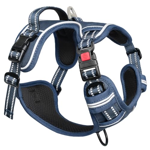 Timos Dog Harness Small Sized, No Pull Pet Harness with Neck Lockable Snap,No Choke Front Clip Dog Reflective Vest,Adjustable Metal Rings 3 Buckles,Easy Control Handle for Small Dogs Royal Blue S - color: Lock Royal Blue, size: Small (Pack of 1)