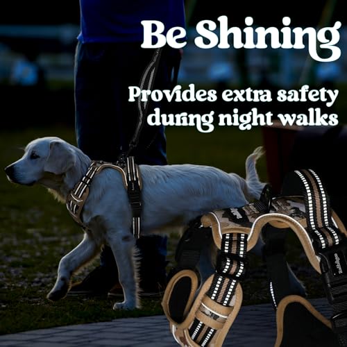 rabbitgoo Dog Harness Small Sized, No Pull Easy On & Off with 3 Buckles Pet Harness, Adjustable Soft Walking Vest with 2 Clips and Handle, Reflective for Small Dogs, Desert Ridge, S - color: Desert Ridge, size: Small