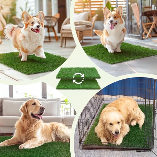 LOOBANI Dog Grass Pee Pads, Artificial Dog Grass Pads for Potty Tray, Fake Grass for Dogs to Pee On, Outdoor Indoor Pee Grass for Dog Potty(14*18 inch) - size: 14*18 inch