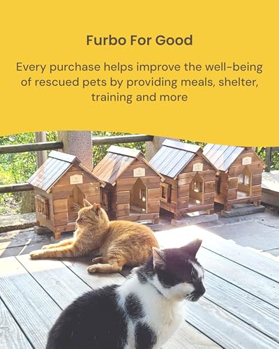 Furbo 360° Cat Camera: Basic See, Talk & Toss Features, No AI Alerts, No Subscription Required, Pet Security Cam w/Meowing Alerts, Rotating View, Treat Toss, 2-Way Audio, Smart Home Kitty Monitoring - style: Cat 360° Camera