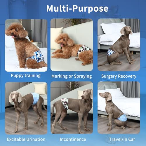 JoyDaog Reusable Dog Belly Bands for Male Dogs Diapers,5 Pack Premium Washable Dog Diapers Male Puppy Nappies Wrap,M - size: Medium (Pack of 5)