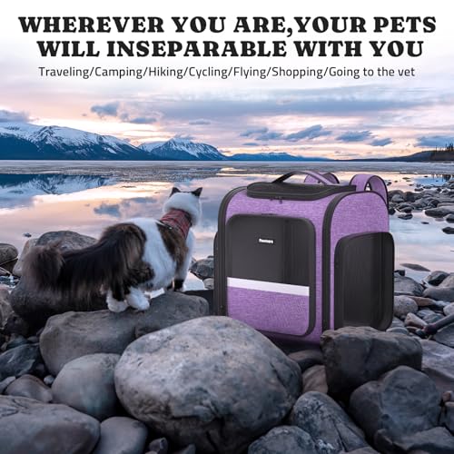 Pawtners Dog Carrier Backpacks Large Cat Backpack with Anti-Scratch Mesh, Foldable Designed Pet Backpack Carrier for Kitten Small Dogs & Large Cats Up to 18 Lbs, Dog Carrier for Travel Outdoor - color: Purple