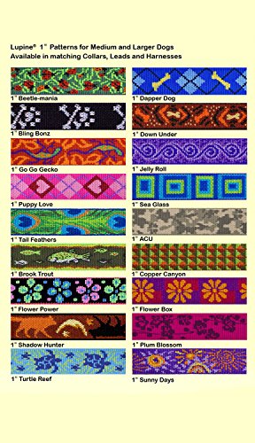 LupinePet Originals 1" Shadow Hunter 19-27" Martingale Collar for Large Dogs - size: 1"W; 19-27" Neck