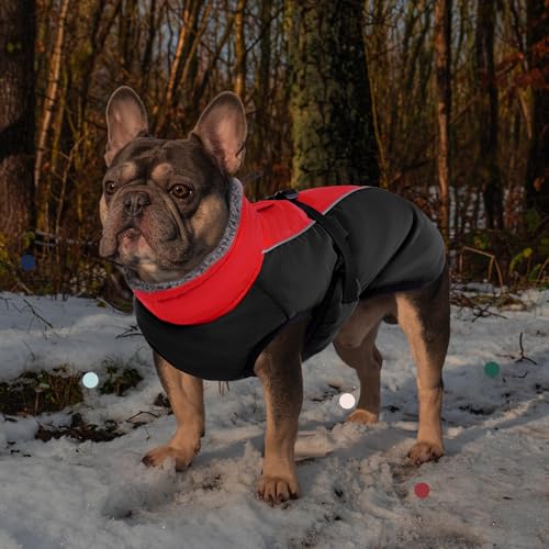 IECOii Extra Warm Reflective Adjustable Dog Jacket - Winter Coat with Buckle Fleece Turtleneck for Small to Extra Large Dogs - color: Red, size: Small(Chest:12.6-16.5 in)
