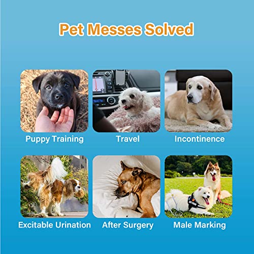 All-Absorb Male Dog Wrap, Large | 50 Count | Pack of 2 - size: Large( 50 Count)( Pack of 2)