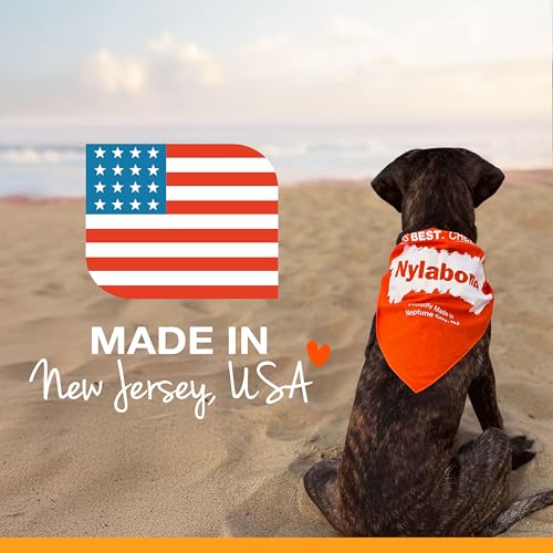 Nylabone Power Chew Antler Alternative Nylon Chew Toy for Dogs, Dog Toys for Aggressive Chewers, Venison Flavor, Medium/Wolf (1 Count) - size: Medium