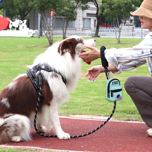 Dog Treat Pouch Dog Poop Bag Holder for Leashes, Pets Snack Container With Inner Small Bag, Puppy Supplies Perfect for Training and Walking - Hands Free Dog Waste Bag Dispenser -Dog Travel Accessories - color: Mint