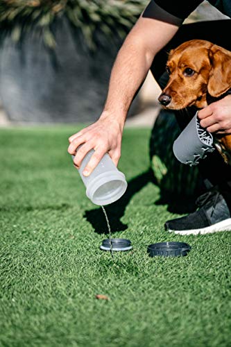 Dexas Lidded MudBuster Large Dog Paw Cleaner, Light Gray, Fits 2.5"-3.5" Wide Paws Gentle Silicone Bristles for Quick, Easy Cleaning - color: Light Gray, size: Large with Lid
