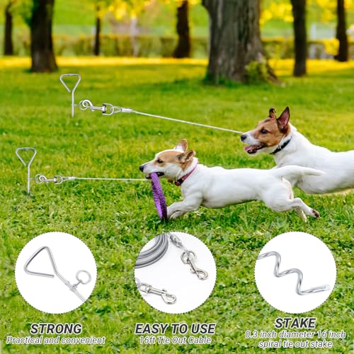 Amylove 2 Pcs Dog Tie Out Cable and Stake, 16 ft Outside Leash Cable Chain for Medium to Large Dog up to 125 Lbs, 18'' Heavy Duty Reflective Spiral Stake for Yard Camping Running Play(Grey) - color: Gray