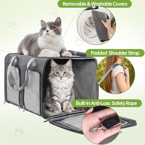 Cat Carrier for 2 Cats - Double Pet Carrier Extra Large, Dual Cabin Multi Cat Travel Carrier with Removable Divider, Collapsible, Can Hold 20 30 40 lbs for Two Small Kitten, a Medium Dog Gray - color: Gray