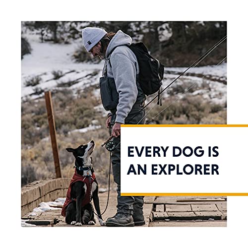 Ruffwear, Confluence Dog Collar, Waterproof Heavy Duty Quick Release Buckle, Odor-Resistant Easy Clean Adjustable TPU Webbing with & Silent ID Attachment, Midnight Blue, 14"-20" - color: Midnight Blue, size: 14"-20"