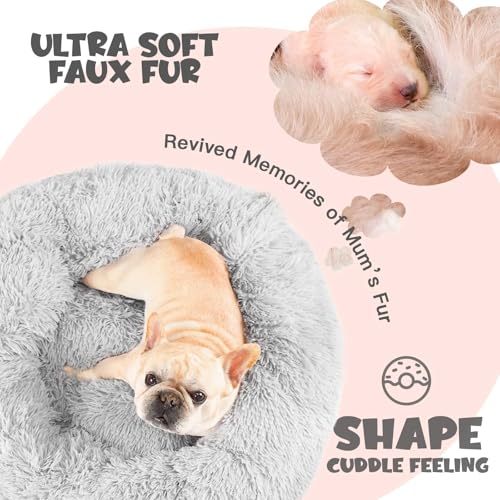 Himax Dog Beds for Small Medium Dogs, Donut Dog Bed with Blanket Attached, Calming Dogs Bed Washable (20"/26"/35") Light Grey - color: Light Grey, size: 26.0"L x 26.0"W x 9.0"Th