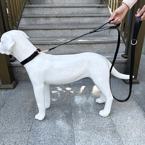Dog Leash 6ft Long,Traffic Padded Two Handle,Heavy Duty,Double Handles Lead for Control Safety Training,Leashes for Large Dogs or Medium Dogs,Dual Handles Leads (Black, 25MM*6FT) - color: Black