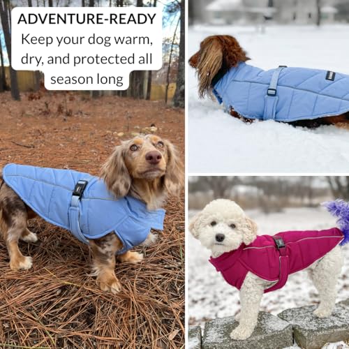 DJANGO Insulated Puffer Dog Jacket with Harness Hole – Warm, Water-Repellent Winter Dog Coat Large Dogs – Adjustable, Reflective Cold Weather Dog Apparel for Fall, Snow, Rain – Lafayette Green, Large - color: Lafayette Green, size: Large