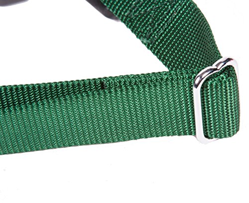 GOGO Pet Products 3/4-Inch Martingale Dog Collar, Medium, Hunter Green - color: Hunter Green, size: Medium (3/4" web width)