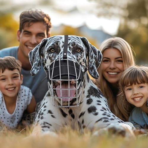 Extra Large Metal Basket Dog Muzzle for Great Dane, Cage Muzzle to Stop Barking & Prevent Biting for Large Dogs Rottweiler, Cane Corso, German Shepherd, Mastiff, Labrador
