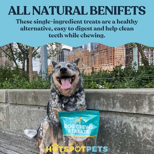 hotspot pets Bully Stick Rings for Dogs (10 Pack) 4 Inch Circles- Premium All Natural Long Lasting Twisted Beef Pizzle Dog Chew Treats - Grain Free, Fully Digestible, Rawhide Alternative Thick Chews