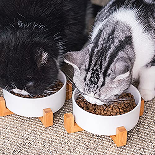 Petygooing White Ceramic Cat Dog Bowl Set with Stand,Small Dog Bowls,Pet Food and Water Dish, Anti Slip Set of 2 Cat Bowls Pet Food Bowl- Pet Dish Small Size Pet (13.5OZ/5.1 in) - color: White, size: Puppy/Small Size Dogs & Cat Bowls 400ML*2